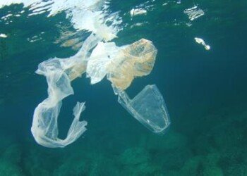 Mare: picchi di microplastiche nel Tirreno, in particolare a Capraia 