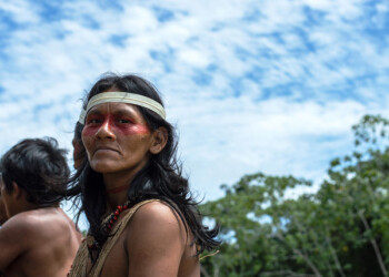 Marina Tana. Human Forest