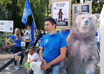 CHIESTA LA GRAZIA PER L’ORSA JJ4: MANIFESTAZIONE  SOTTO LA PROVINCIA DI TRENTO PROMOSSA DALL’OIPA