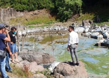 Moria di pesci nel lago Omodeo: Lampis, “fenomeno naturale”