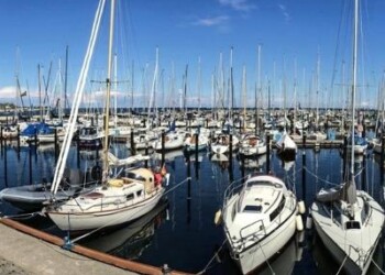 Nautica: allarme di Amadi e Sistema Impresa, è crisi per marittimi e diporto  