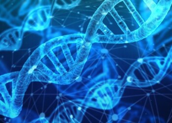 Online la centrale di controllo del codice della vita