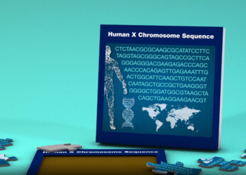Ottenuto il primo ritratto completo del cromosoma X