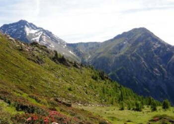 Pragelato, stagione estiva al via con Miss Mucca
