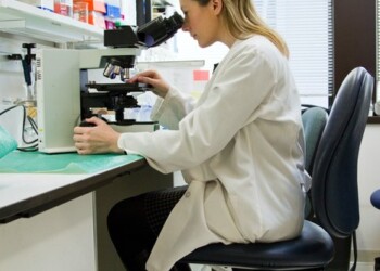 Ricerca: premio Provincia Bolzano alle donne scienziate