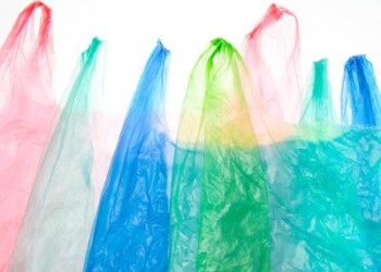 Rifiuti: sacchi per l’umido, il 36,2% non è compostabile  