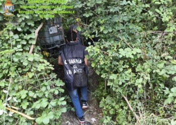 Sant’Omero, scoperta piantagione di cannabis