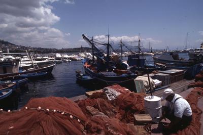 Stop a pesce fresco, scatta fermo pesca