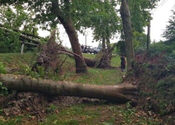 Temporali nel Cuneese, danni per grandine e forte vento