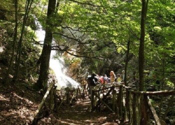 Turismo: Pnalm, adottata nuova disciplina fruizione sentieri