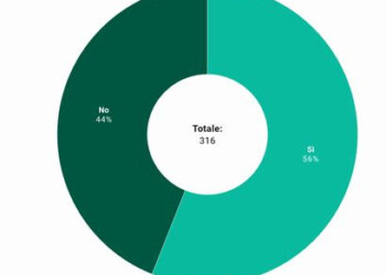 ‘IMMUNI’, INDAGINE ‘DIRE’: 1 SU 10 NON ‘PUÒ’ SCARICARLA