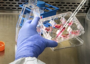 Vaccino, la via più rapida è inoculare anche il virus