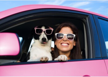 Viaggiare con i nostri amici pet