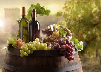 Casini: dalla Regione 3,2 milioni di euro per sostenere 600 imprese vitivinicole