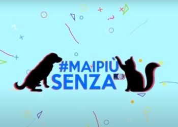 Vip contro il randagismo, al via ‘Mai più senza di loro’ 