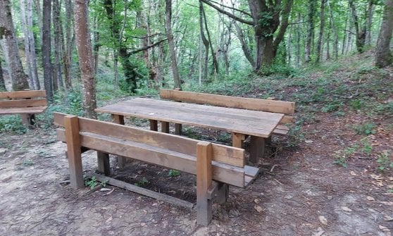 A lezione tra gli alberi. In Appennino a Bologna spunta l'aula nel bosco