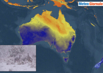 Australia, freddo, battaglia di canguri sotto la neve. Video meteo