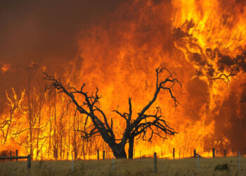 Caldo soffocante, meteo estremo d’Africa con incendi su molte regioni