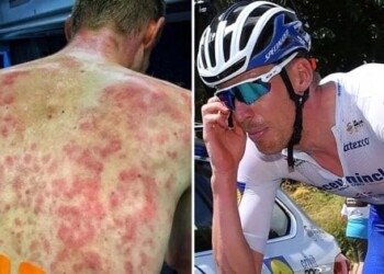 Ciclismo, fuga e vittoria per Formolo al Delfinato