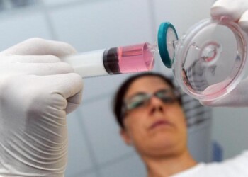 Ecco lo scudo per i neuroni: la molecola prodotta dal fegato quando si fa esercizio fisico