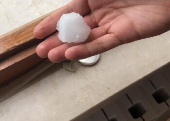 “Coldiretti, bomba di ghiaccio sui campi, chiederemo immediatamente lo stato di calamità”