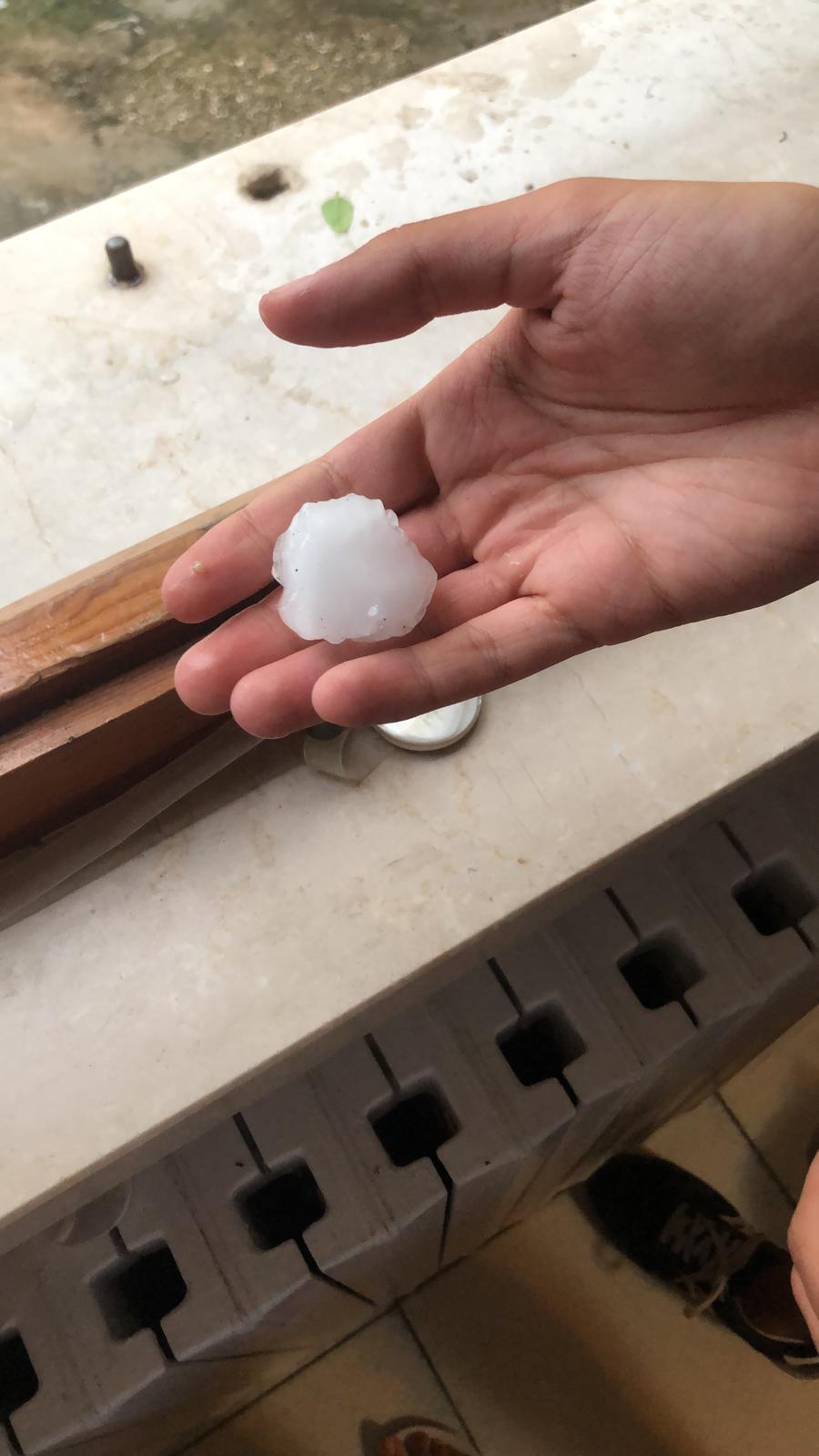 “Coldiretti, bomba di ghiaccio sui campi, chiederemo immediatamente lo stato di calamità”