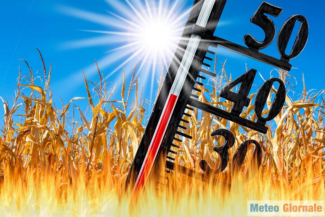 Imminente VIOLENTO CALDO AFRICANO. Picchi oltre 40 gradi, ecco dove