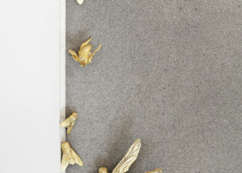 Marta Margnetti. Premio Manor Ticino 2020