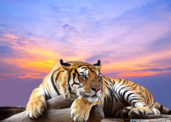 Meteo con nuova ondata di caldo, temperature estreme per città