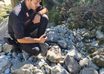 Mistero su riva Strona, trovato osso umano