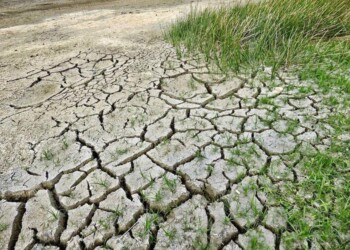 Siccità, Europa sempre più a rischio per i gas serra