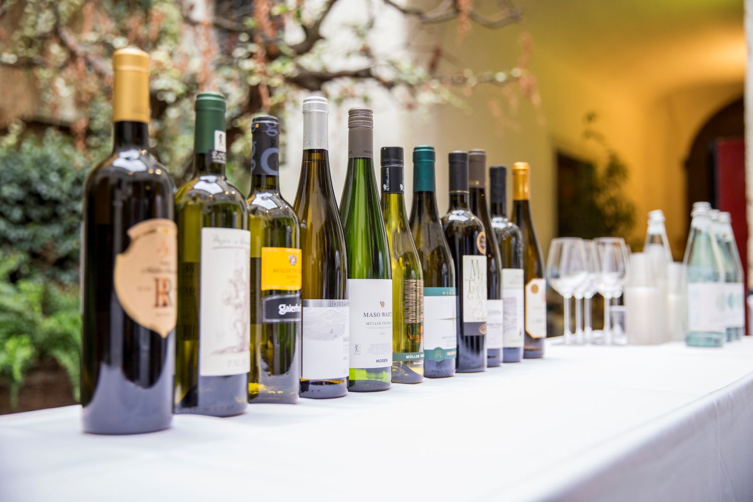 TRENTINO, AD OTTOBRE SI CELEBRA IL MÜLLER THURGAU