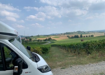LE DONNE DEL VINO INVITANO I CAMPERISTI A DORMIRE UNA NOTTE TRA LE VIGNE IN VENDEMMIA