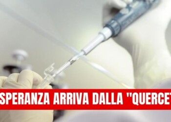 Dalla Medicina Biologica Integrata, arriva una speranza anti-Covid attraverso un composto completamente naturale:La Quercitina.