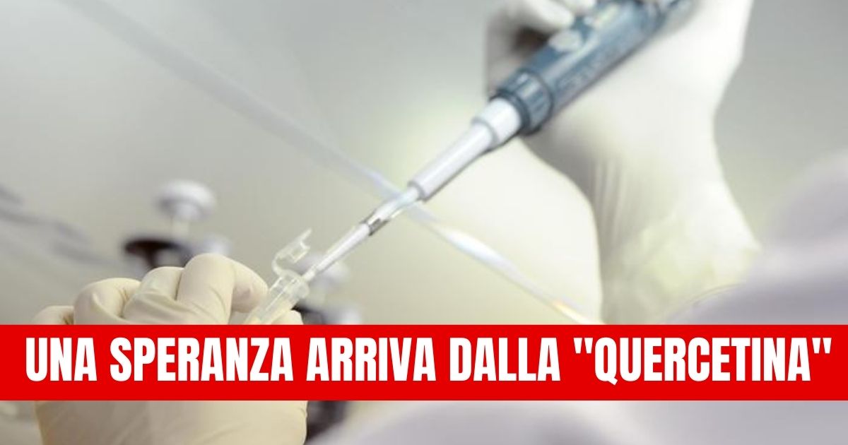 Dalla Medicina Biologica Integrata, arriva una speranza anti-Covid attraverso un composto completamente naturale:La Quercitina.