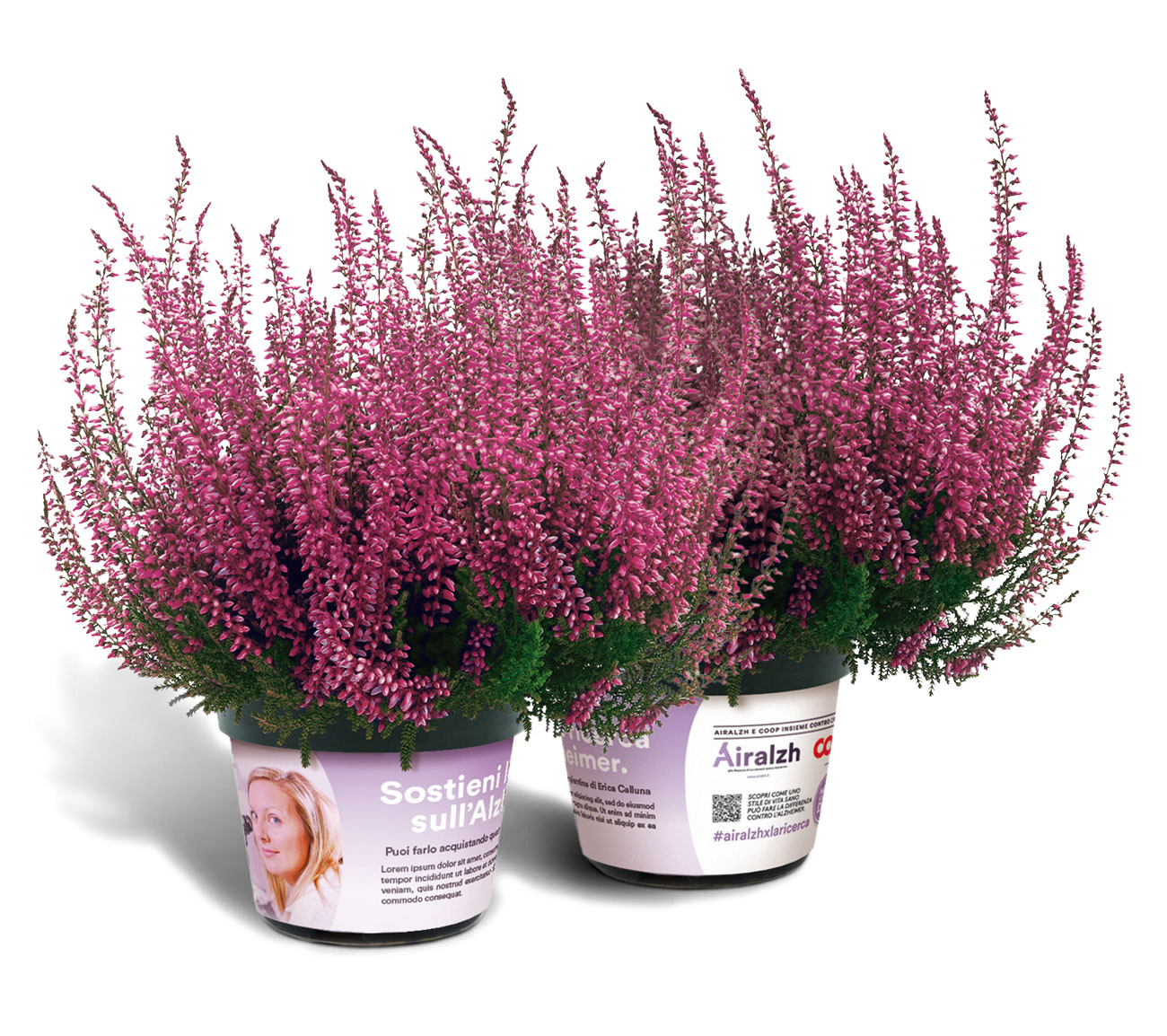 21 SETTEMBRE :GIORNATA MONDIALE DELL’ALZHEIMER 