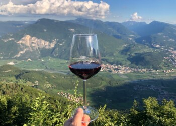 A tutto Marzemino lungo la Strada del Vino e dei Sapori del Trentino