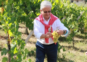 ECOTURISMO, IL SANNIO SI CANDIDA A DIVENTARE UNA CAPITALE VERDE EUROPEA