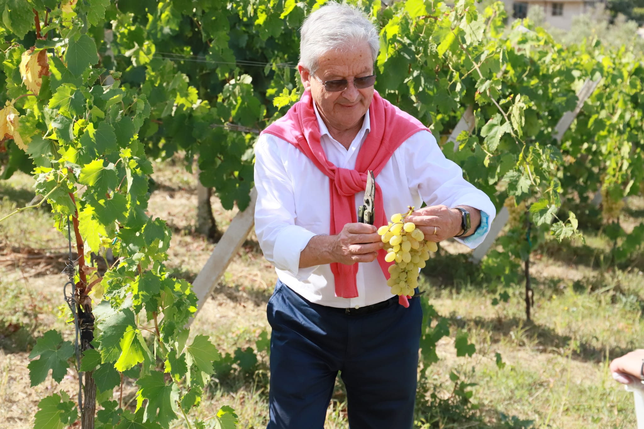 ECOTURISMO, IL SANNIO SI CANDIDA A DIVENTARE UNA CAPITALE VERDE EUROPEA