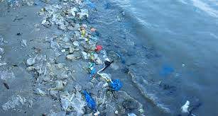 Ambiente: Seabin a Trieste coerente con azioni plastic-free del Friuli Venezia Giulia