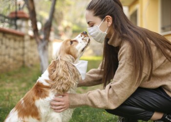 Caccia al coronavirus? All’aeroporto di Helsinki usano i cani, e funziona!