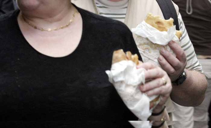 L’obesità compromette la plasticità del cervello