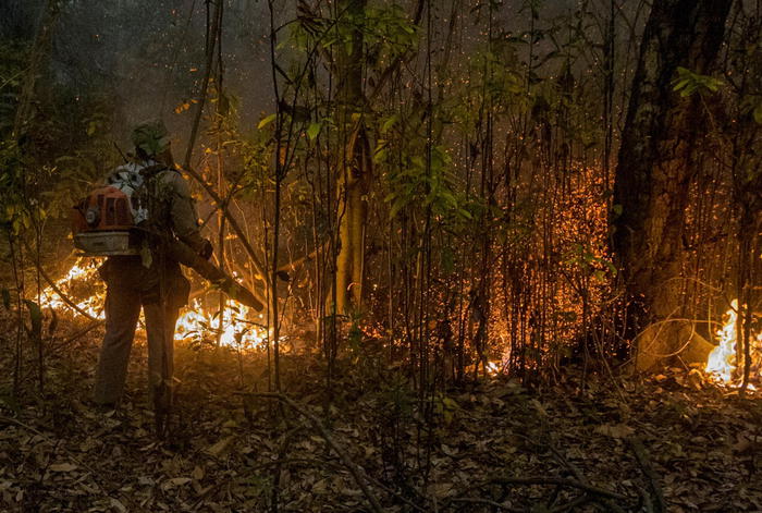 Pantanal in fiamme, distrutto 15% dell’intero bioma