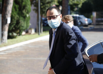 Patuanelli: ‘L’ecobonus al 110% diventerà strutturale’