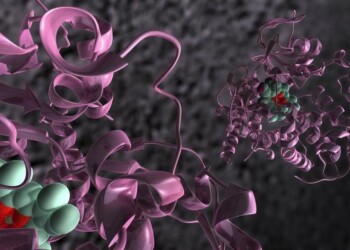 Piega le proteine e potrai guarire. Nuove cure basate sugli interruttori biologici. I test sui tumori di una start-up italiana