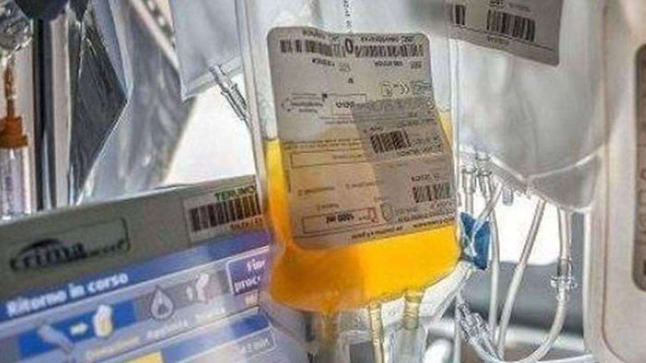 Bucarest:“In attesa degli anticorpi monoclonali si incentivi la donazione di plasma iperimmune per curare pazienti con Covid-19”