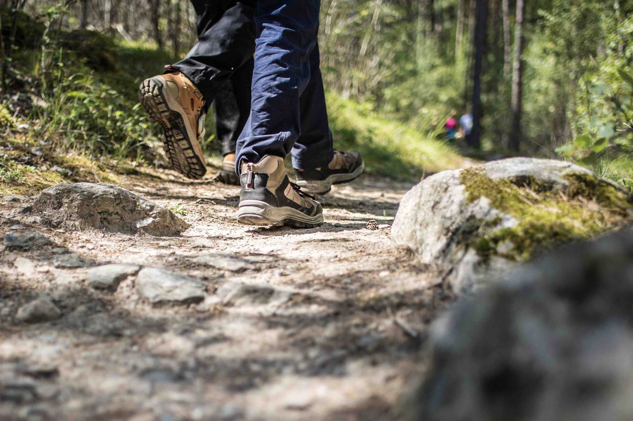 Le vette da raggiungere da Lana e dintorni