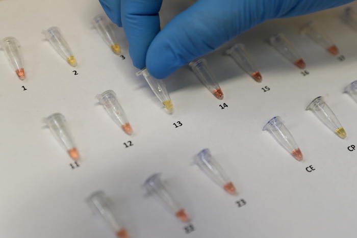 +277 casi in Alto Adige