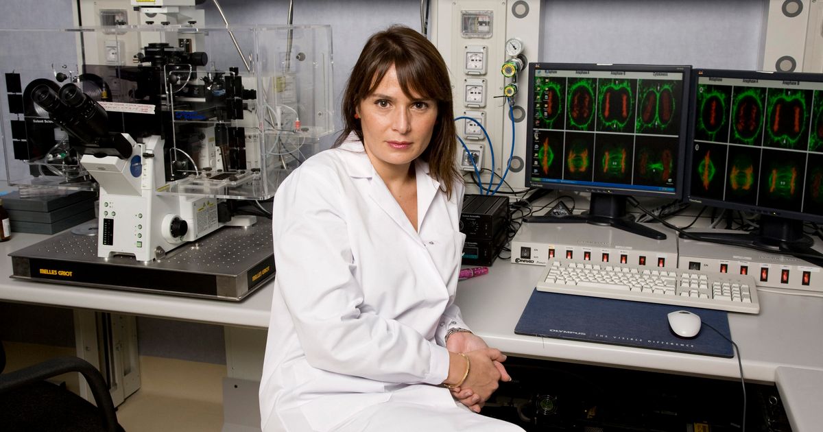 L’immunologa Antonella Viola si scaglia contro il Dpcm di Conte:”È una decisione irrazionale, cieca, assurda”