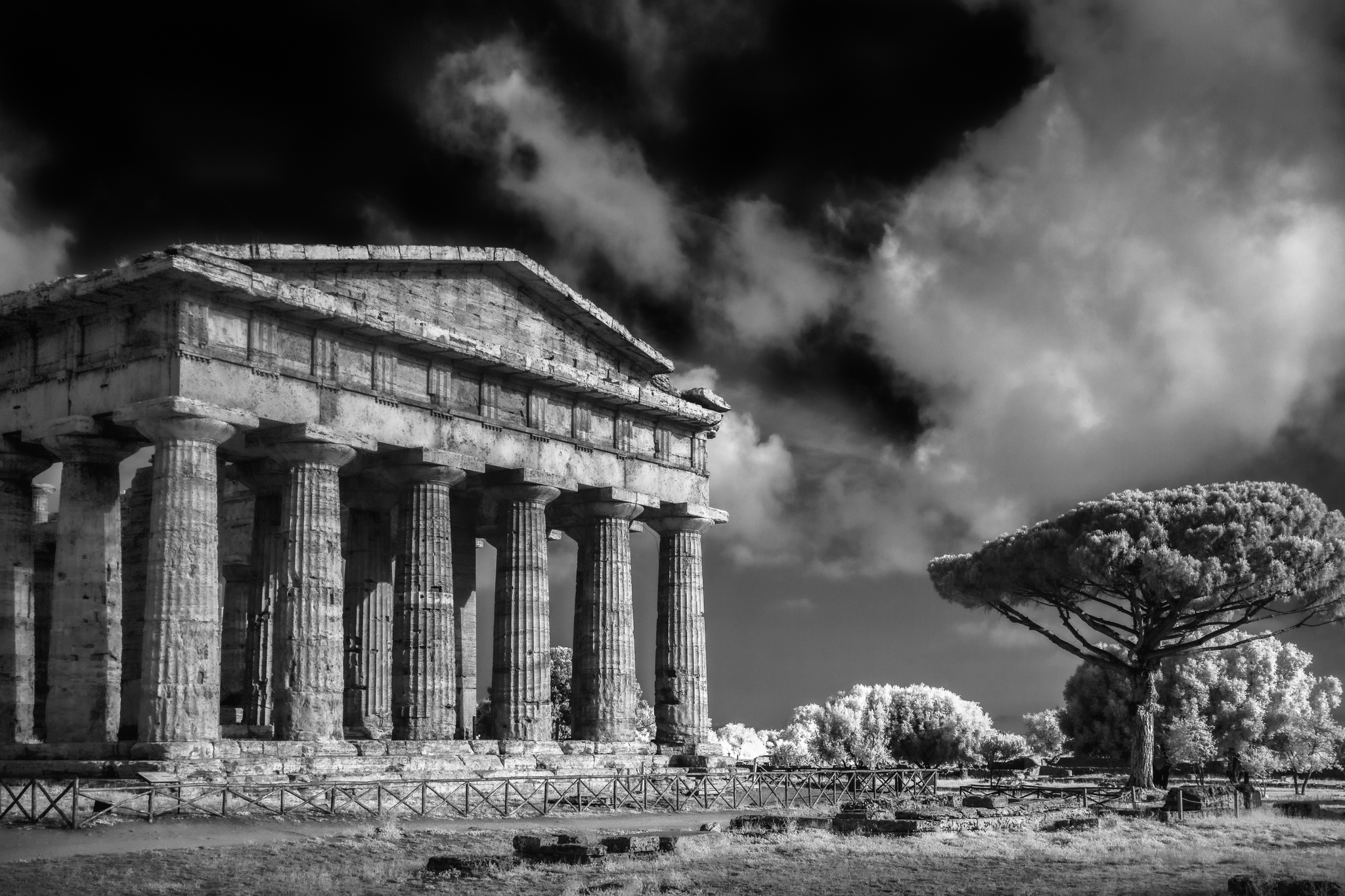 “PAESTUM. FOTOGRAFIE DI MARCO DIVITINI” INAUGURAZIONE MOSTRA VENERDÌ 16 OTTOBRE 2020